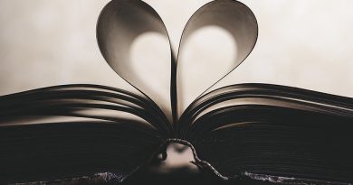 book open with pages folded over shaped like heart